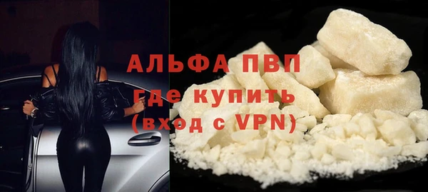 ПСИЛОЦИБИНОВЫЕ ГРИБЫ Верея