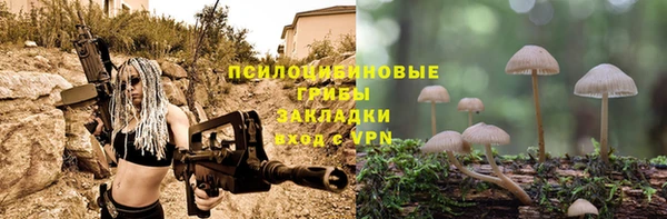 таблы Богородицк