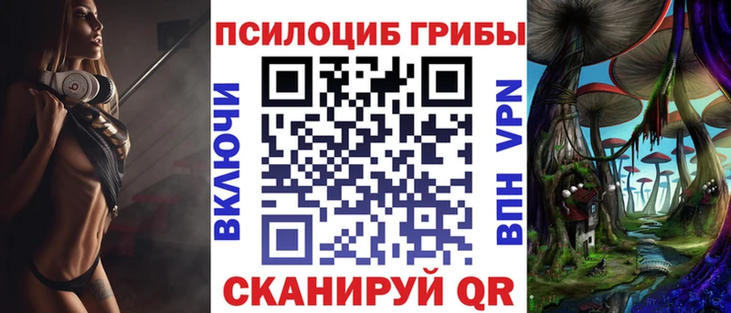 Галлюциногенные грибы Psilocybe  купить   кракен ТОР  Среднеуральск 